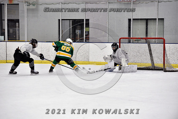 _GSP8138 (Copy)