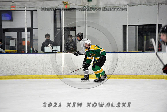 _GSP8172 (Copy)