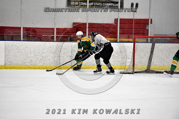 _GSP8217 (Copy)
