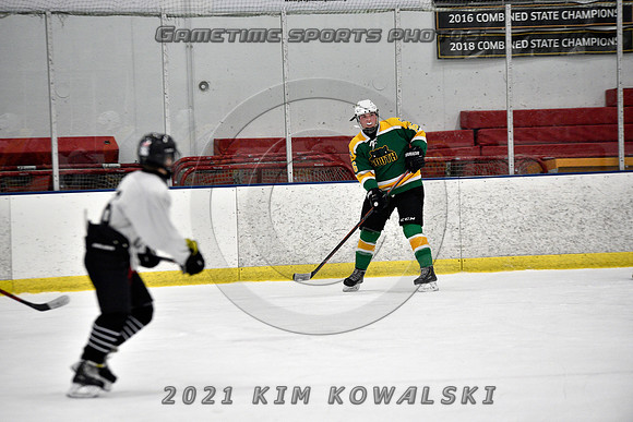 _GSP8219 (Copy)