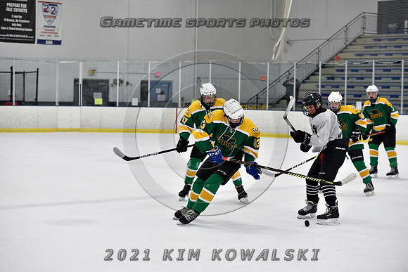 _GSP8239 (Copy)